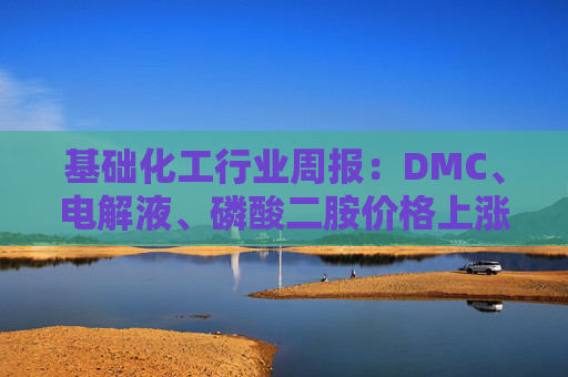 基础化工行业周报：DMC、电解液、磷酸二胺价格上涨 关注反内卷和铬盐  第1张