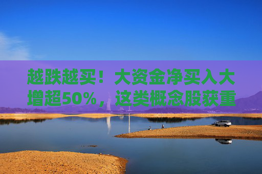 越跌越买！大资金净买入大增超50%，这类概念股获重点关注