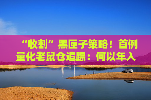 “收割”黑匣子策略！首例量化老鼠仓追踪：何以年入8857万？  第1张