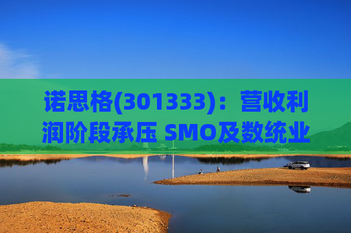 诺思格(301333)：营收利润阶段承压 SMO及数统业务保持稳健增长  第1张