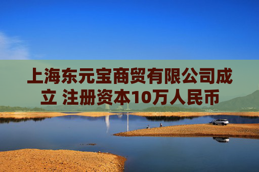上海东元宝商贸有限公司成立 注册资本10万人民币
