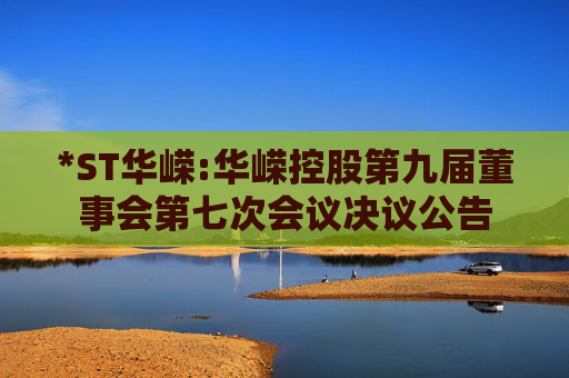 *ST华嵘:华嵘控股第九届董事会第七次会议决议公告