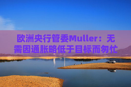欧洲央行管委Muller：无需因通胀略低于目标而匆忙降息