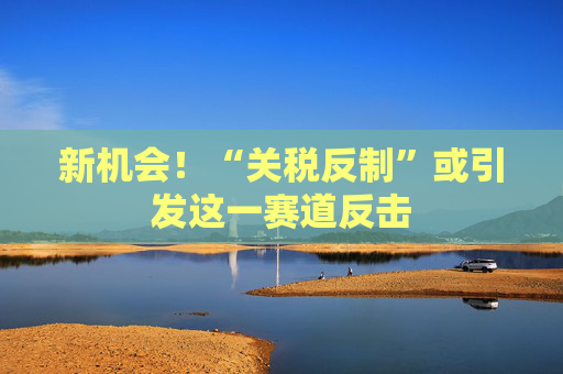 新机会！“关税反制”或引发这一赛道反击  第1张