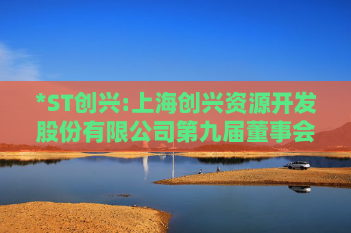 *ST创兴:上海创兴资源开发股份有限公司第九届董事会第26次会议决议的公告