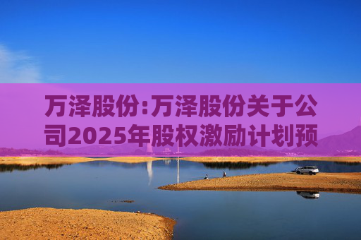 万泽股份:万泽股份关于公司2025年股权激励计划预留授予限制性股票登记完成的公告