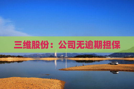 三维股份：公司无逾期担保