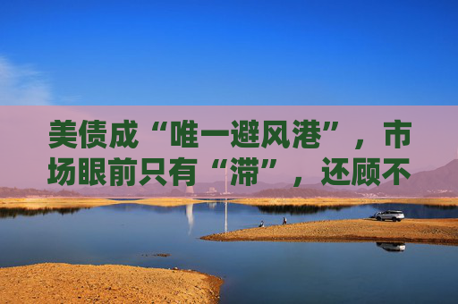 美债成“唯一避风港”，市场眼前只有“滞”，还顾不上“胀”  第1张