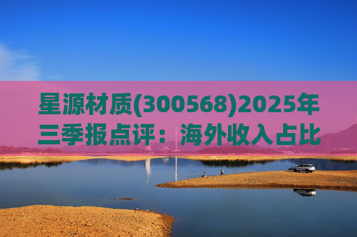 星源材质(300568)2025年三季报点评：海外收入占比提升 盈利水平改善