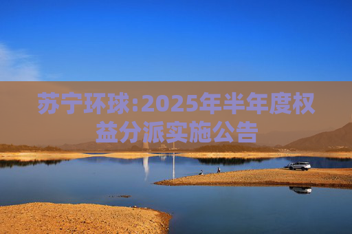 苏宁环球:2025年半年度权益分派实施公告