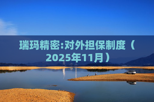 瑞玛精密:对外担保制度（2025年11月）