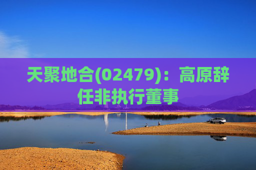 天聚地合(02479)：高原辞任非执行董事