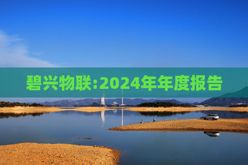 碧兴物联:2024年年度报告  第1张