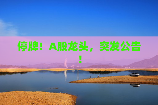 停牌！A股龙头，突发公告！