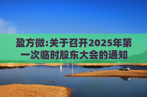 盈方微:关于召开2025年第一次临时股东大会的通知
