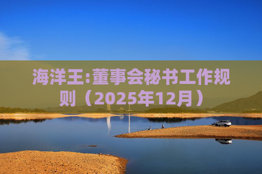 海洋王:董事会秘书工作规则（2025年12月）