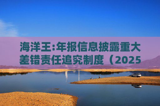 海洋王:年报信息披露重大差错责任追究制度（2025年12月）
