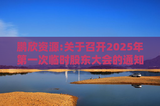 鹏欣资源:关于召开2025年第一次临时股东大会的通知