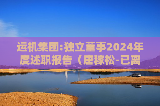 运机集团:独立董事2024年度述职报告（唐稼松-已离任）  第1张