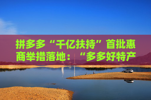 拼多多“千亿扶持”首批惠商举措落地：“多多好特产”等专项启动