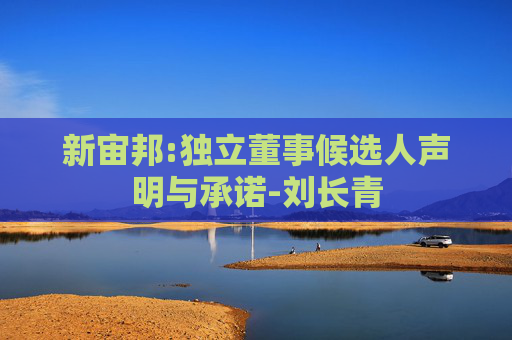 新宙邦:独立董事候选人声明与承诺-刘长青