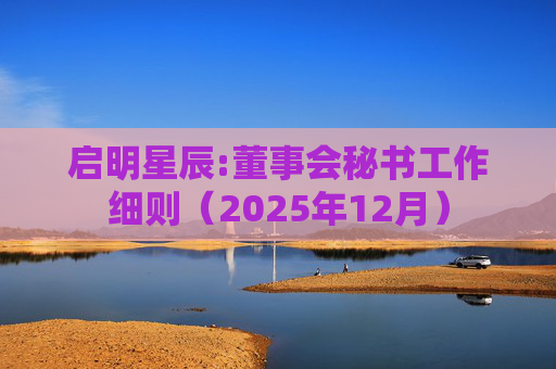 启明星辰:董事会秘书工作细则（2025年12月）
