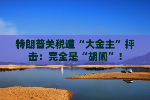 特朗普关税遭“大金主”抨击：完全是“胡闹”！
