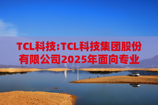 TCL科技:TCL科技集团股份有限公司2025年面向专业投资者公开发行科技创新公司债券（数字经济）（第一期）发行公告