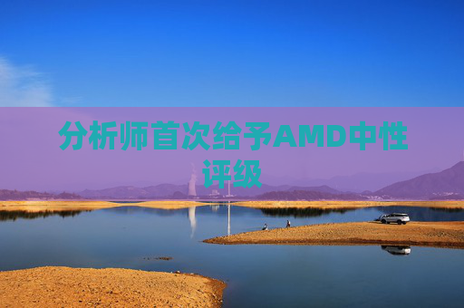 分析师首次给予AMD中性评级  第1张