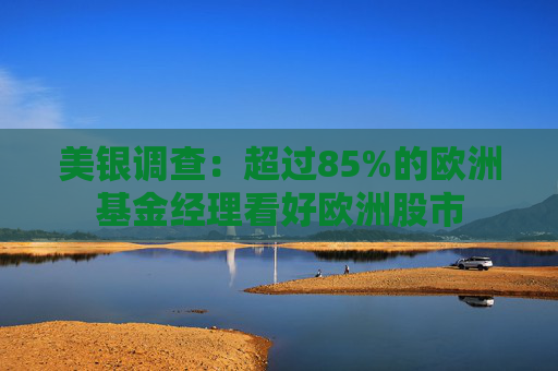 美银调查：超过85%的欧洲基金经理看好欧洲股市  第1张