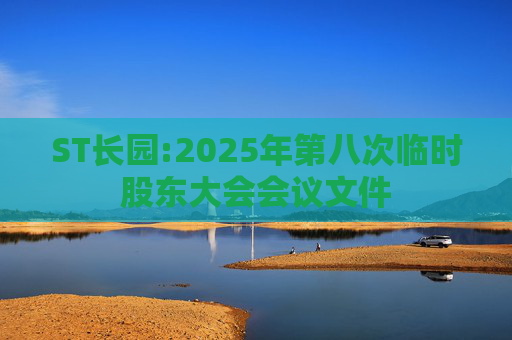 ST长园:2025年第八次临时股东大会会议文件