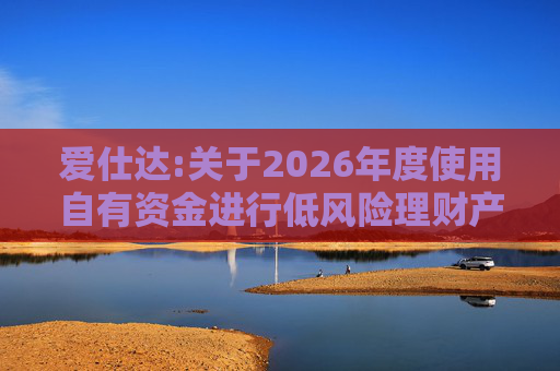 爱仕达:关于2026年度使用自有资金进行低风险理财产品投资的公告