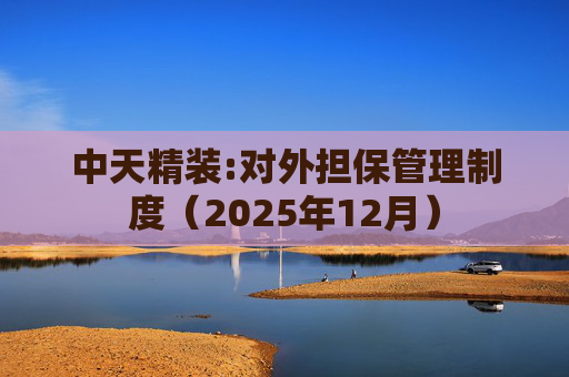 中天精装:对外担保管理制度（2025年12月）  第1张