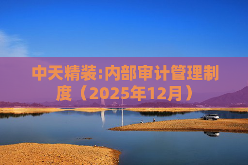 中天精装:内部审计管理制度（2025年12月）