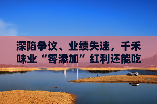 深陷争议、业绩失速，千禾味业“零添加”红利还能吃多久