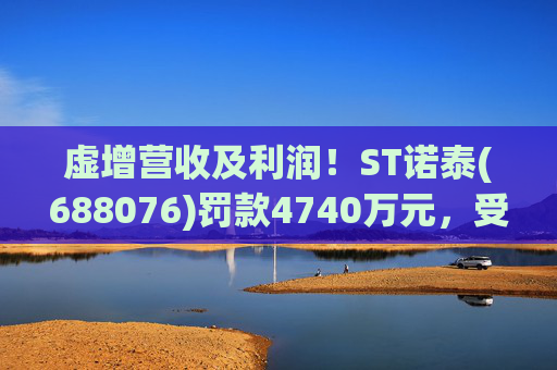 虚增营收及利润！ST诺泰(688076)罚款4740万元，受损投资者可索赔！
