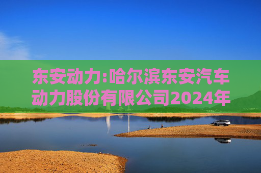 东安动力:哈尔滨东安汽车动力股份有限公司2024年度内部控制审计报告  第1张
