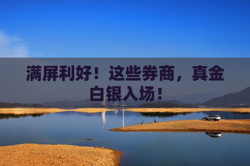 满屏利好！这些券商，真金白银入场！  第1张