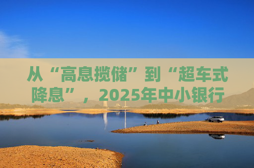 从“高息揽储”到“超车式降息”，2025年中小银行大幅下调存款利率｜2025中国经济年报
