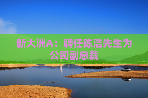 新大洲A：聘任陈浩先生为公司副总裁