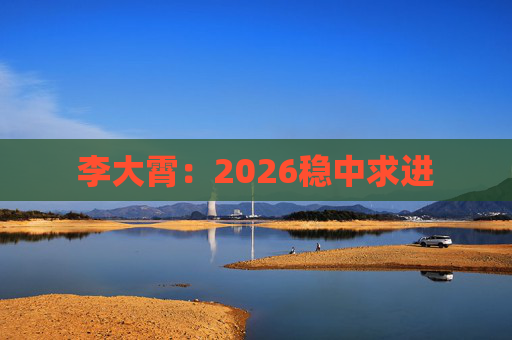 李大霄：2026稳中求进