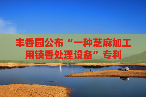 丰香园公布“一种芝麻加工用锁香处理设备”专利  第1张