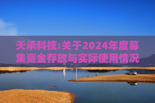 天承科技:关于2024年度募集资金存放与实际使用情况的专项报告  第1张