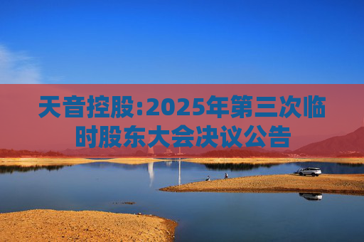 天音控股:2025年第三次临时股东大会决议公告