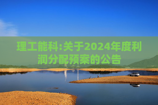 理工能科:关于2024年度利润分配预案的公告  第1张