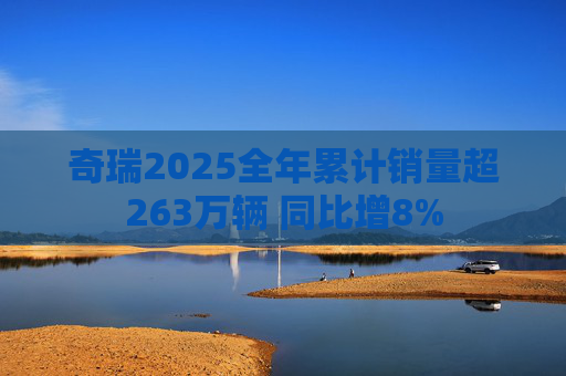 奇瑞2025全年累计销量超263万辆 同比增8%