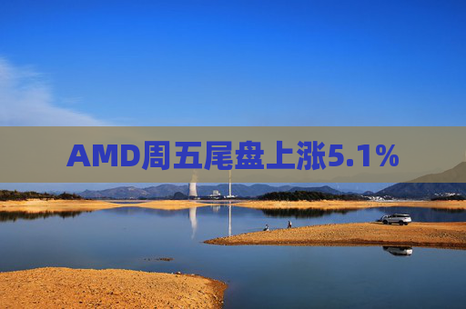 AMD周五尾盘上涨5.1%  第1张