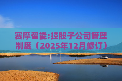 赛摩智能:控股子公司管理制度（2025年12月修订）