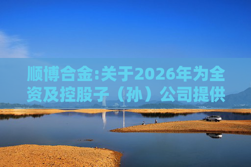 顺博合金:关于2026年为全资及控股子（孙）公司提供担保的公告