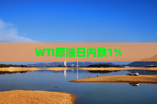 WTI原油日内跌1%